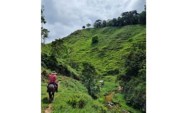 SE VENDE O PERMUTA  FINCA GANADERA EN CARACOLI - ANTIOQUIA