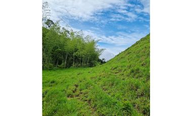 SE VENDE O PERMUTA  FINCA GANADERA EN CARACOLI - ANTIOQUIA