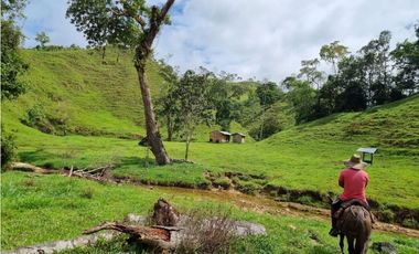 SE VENDE O PERMUTA  FINCA GANADERA EN CARACOLI - ANTIOQUIA