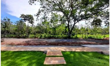 ALQUILER DE CASA NUEVA EN ALGARROBOS  2R AMOBLADA