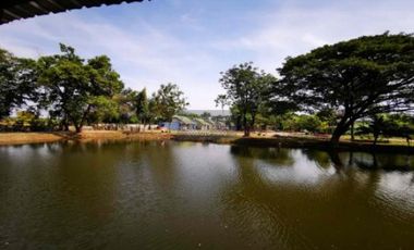 For Sale 32-room resort on 15 rai , Wang Khon Khwang , Khok Samrong , Lop Buri , CX-133068