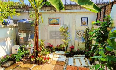 FOR RENT Townhouse/Townhome  Supalai Primo Wongwaen Pinklao-Rama 5  CX-132887