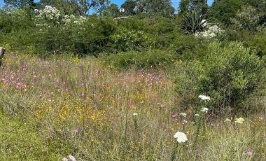 Cabaña en los primeros terrenos de Pinares Tapalpa