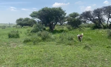 Venta terreno Parque industrial Tepeji del Río