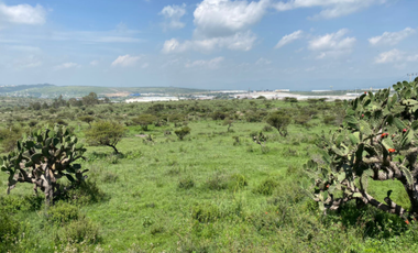 Venta terreno Parque industrial Tepeji del Río