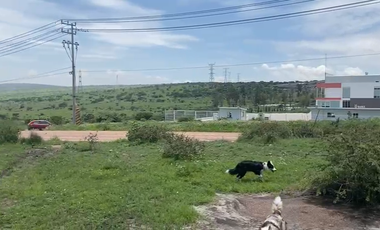 Tepeji terreno industrial venta