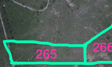 Tepeji terreno industrial venta