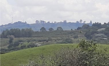 VENTA CASA CAMPESTRE VDA SAN ANTONIO CIRCASIA