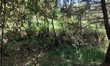 Lote en venta – Marinilla, Antioquia. sector cimarronas 3.700 m2