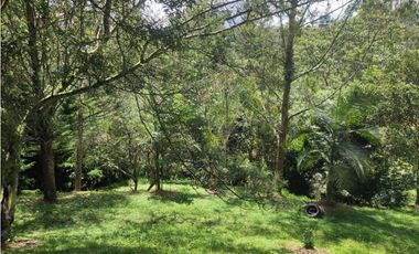 Lote en venta – Marinilla, Antioquia. sector cimarronas 3.700 m2