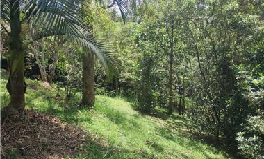 Lote en venta – Marinilla, Antioquia. sector cimarronas 3.700 m2