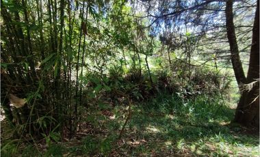 Lote en venta – Marinilla, Antioquia. sector cimarronas 3.700 m2