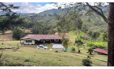 Finca en venta en guarne vereda la Enea 42.500m2 LDC