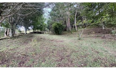 Finca en venta en guarne vereda la Enea 42.500m2 LDC