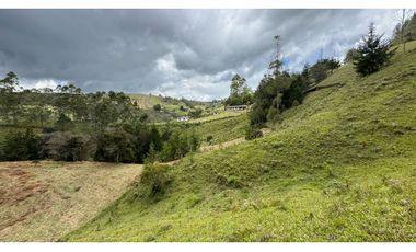 Finca en venta en guarne vereda la Enea 42.500m2 LDC