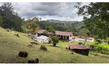 Finca en venta en guarne vereda la Enea 42.500m2 LDC