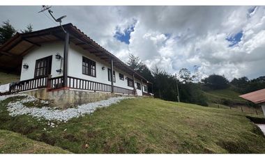 Finca en venta en guarne vereda la Enea 42.500m2 LDC