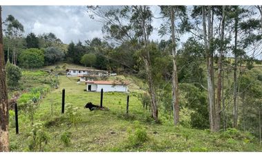 Finca en venta en guarne vereda la Enea 42.500m2 LDC