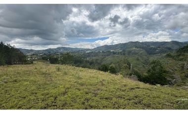 Finca en venta en guarne vereda la Enea 42.500m2 LDC