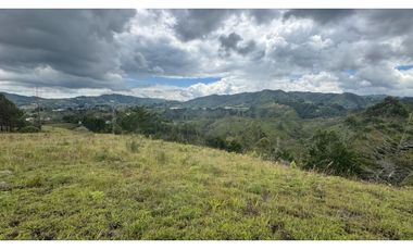 Finca en venta en guarne vereda la Enea 42.500m2 LDC