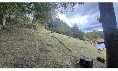 Finca en venta en guarne vereda la Enea 42.500m2 LDC