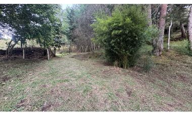 Finca en venta en guarne vereda la Enea 42.500m2 LDC