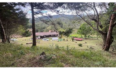 Finca en venta en guarne vereda la Enea 42.500m2 LDC