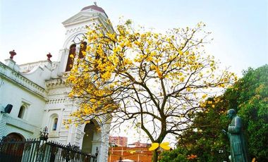 Apartaestudio En Venta En Sabaneta, Antioquia, Colombia - Oportunidad Inversionistas