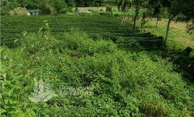 SE VENDE FINCA, 12.834.12 M2, $70.000, Bongo abajo cerca de la escuela