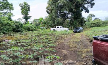 SE VENDE FINCA, 12.834.12 M2, $70.000, Bongo abajo cerca de la escuela