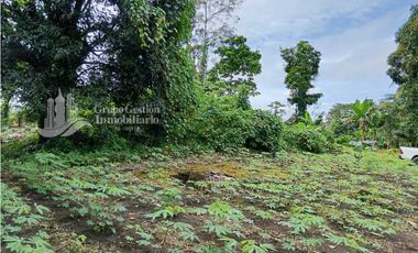 SE VENDE FINCA, 12.834.12 M2, $70.000, Bongo abajo cerca de la escuela