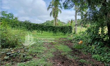 SE VENDE FINCA, 12.834.12 M2, $70.000, Bongo abajo cerca de la escuela