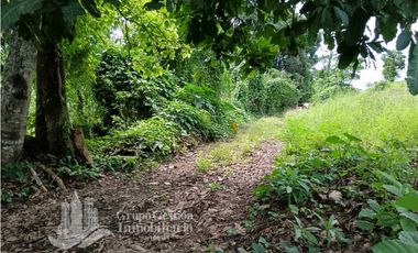 SE VENDE FINCA, 12.834.12 M2, $70.000, Bongo abajo cerca de la escuela