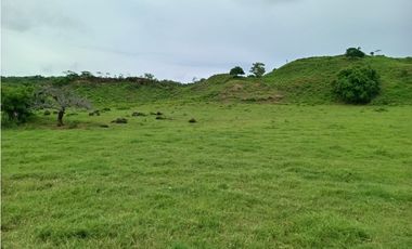 VENTA DE HERMOSA FINCA EN EL OJAL DE OCÚ