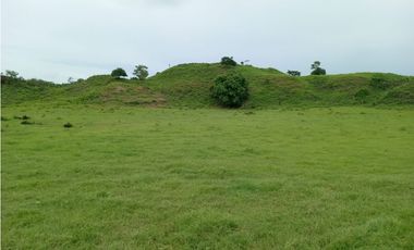 VENTA DE HERMOSA FINCA EN EL OJAL DE OCÚ