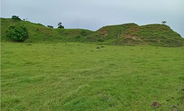 VENTA DE HERMOSA FINCA EN EL OJAL DE OCÚ