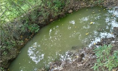 VENTA DE HERMOSA FINCA EN EL OJAL DE OCÚ