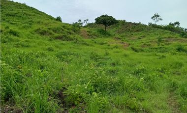 VENTA DE HERMOSA FINCA EN EL OJAL DE OCÚ