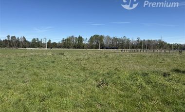Parcela en Venta en Camino Villarrica-Freire Km.5,3 Sector Chucauco