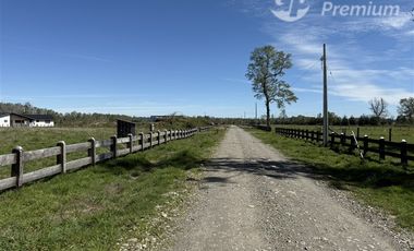 Parcela en Venta en Camino Villarrica-Freire Km.5,3 Sector Chucauco