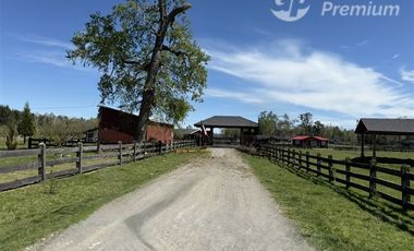 Parcela en Venta en Camino Villarrica-Freire Km.5,3 Sector Chucauco