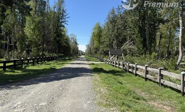 Parcela en Venta en Camino Villarrica-Freire Km.5,3 Sector Chucauco