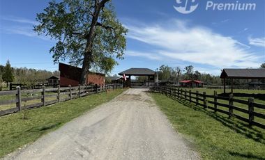 Parcela en Venta en Camino Villarrica-Freire Km.5,3 Sector Chucauco