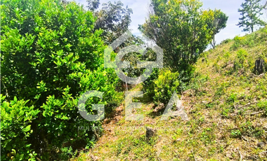 Venta de Finca en Timbío, Vereda el Guayabal