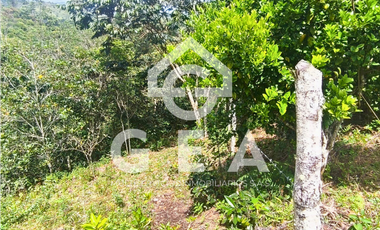 Venta de Finca en Timbío, Vereda el Guayabal
