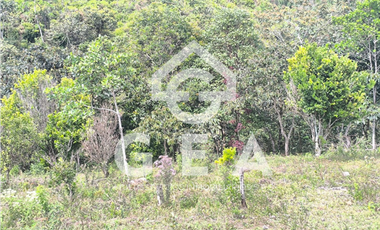 Venta de Finca en Timbío, Vereda el Guayabal