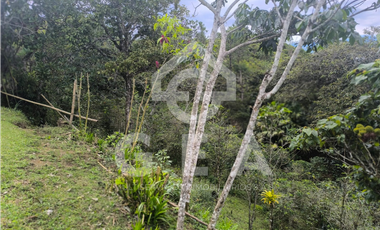 Venta de Finca en Timbío, Vereda el Guayabal