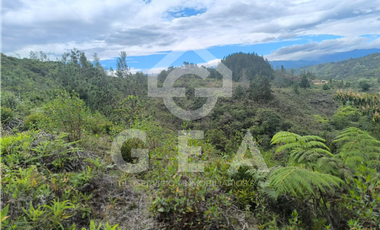 Venta de Finca en Timbío, Vereda el Guayabal