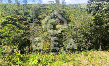 Venta de Finca en Timbío, Vereda el Guayabal