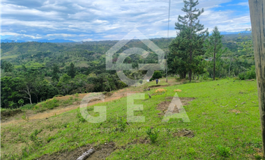 Venta de Finca en Timbío, Vereda el Guayabal